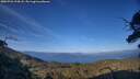 ./images/calvert/fitz-hugh-hecate/20250726/fitz-hugh-hecate20250726_194507M.jpg