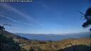./images/calvert/fitz-hugh-hecate/20250726/fitz-hugh-hecate20250726_195008M.jpg