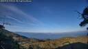 ./images/calvert/fitz-hugh-hecate/20250726/fitz-hugh-hecate20250726_195508M.jpg