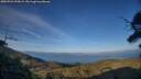 ./images/calvert/fitz-hugh-hecate/20250726/fitz-hugh-hecate20250726_200009M.jpg