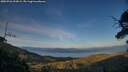./images/calvert/fitz-hugh-hecate/20250726/fitz-hugh-hecate20250726_203009M.jpg
