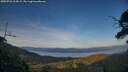 ./images/calvert/fitz-hugh-hecate/20250726/fitz-hugh-hecate20250726_204508M.jpg
