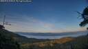 ./images/calvert/fitz-hugh-hecate/20250726/fitz-hugh-hecate20250726_205008M.jpg