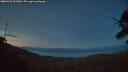 ./images/calvert/fitz-hugh-hecate/20250726/fitz-hugh-hecate20250726_221009M.jpg