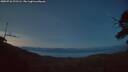 ./images/calvert/fitz-hugh-hecate/20250726/fitz-hugh-hecate20250726_221506M.jpg