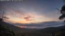 ./images/calvert/fitz-hugh-hecate/20250727/fitz-hugh-hecate20250727_054506M.jpg