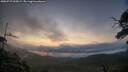 ./images/calvert/fitz-hugh-hecate/20250727/fitz-hugh-hecate20250727_055009M.jpg