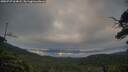 ./images/calvert/fitz-hugh-hecate/20250727/fitz-hugh-hecate20250727_064008M.jpg