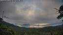 ./images/calvert/fitz-hugh-hecate/20250727/fitz-hugh-hecate20250727_065010M.jpg