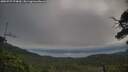 ./images/calvert/fitz-hugh-hecate/20250727/fitz-hugh-hecate20250727_074010M.jpg