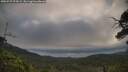 ./images/calvert/fitz-hugh-hecate/20250727/fitz-hugh-hecate20250727_074509M.jpg