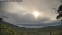./images/calvert/fitz-hugh-hecate/20250727/fitz-hugh-hecate20250727_075009M.jpg