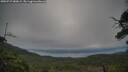 ./images/calvert/fitz-hugh-hecate/20250727/fitz-hugh-hecate20250727_080009M.jpg