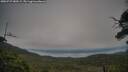 ./images/calvert/fitz-hugh-hecate/20250727/fitz-hugh-hecate20250727_080509M.jpg
