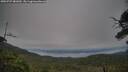 ./images/calvert/fitz-hugh-hecate/20250727/fitz-hugh-hecate20250727_081010M.jpg