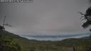 ./images/calvert/fitz-hugh-hecate/20250727/fitz-hugh-hecate20250727_081509M.jpg