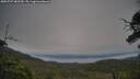 ./images/calvert/fitz-hugh-hecate/20250727/fitz-hugh-hecate20250727_082510M.jpg