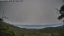 ./images/calvert/fitz-hugh-hecate/20250727/fitz-hugh-hecate20250727_084009M.jpg