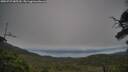 ./images/calvert/fitz-hugh-hecate/20250727/fitz-hugh-hecate20250727_085510M.jpg