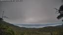 ./images/calvert/fitz-hugh-hecate/20250727/fitz-hugh-hecate20250727_091510M.jpg