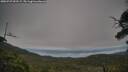 ./images/calvert/fitz-hugh-hecate/20250727/fitz-hugh-hecate20250727_092509M.jpg