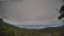 ./images/calvert/fitz-hugh-hecate/20250727/fitz-hugh-hecate20250727_093510M.jpg