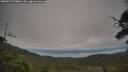 ./images/calvert/fitz-hugh-hecate/20250727/fitz-hugh-hecate20250727_094009M.jpg