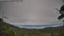 ./images/calvert/fitz-hugh-hecate/20250727/fitz-hugh-hecate20250727_095510M.jpg