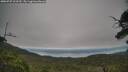 ./images/calvert/fitz-hugh-hecate/20250727/fitz-hugh-hecate20250727_102510M.jpg