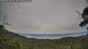 ./images/calvert/fitz-hugh-hecate/20250727/fitz-hugh-hecate20250727_103506M.jpg