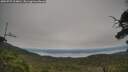 ./images/calvert/fitz-hugh-hecate/20250727/fitz-hugh-hecate20250727_104010M.jpg