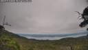 ./images/calvert/fitz-hugh-hecate/20250727/fitz-hugh-hecate20250727_105010M.jpg
