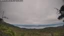 ./images/calvert/fitz-hugh-hecate/20250727/fitz-hugh-hecate20250727_105508M.jpg