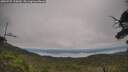 ./images/calvert/fitz-hugh-hecate/20250727/fitz-hugh-hecate20250727_110010M.jpg