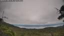 ./images/calvert/fitz-hugh-hecate/20250727/fitz-hugh-hecate20250727_110509M.jpg