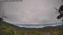 ./images/calvert/fitz-hugh-hecate/20250727/fitz-hugh-hecate20250727_111010M.jpg