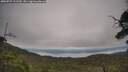 ./images/calvert/fitz-hugh-hecate/20250727/fitz-hugh-hecate20250727_111510M.jpg