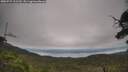 ./images/calvert/fitz-hugh-hecate/20250727/fitz-hugh-hecate20250727_112510M.jpg