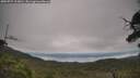 ./images/calvert/fitz-hugh-hecate/20250727/fitz-hugh-hecate20250727_113010M.jpg