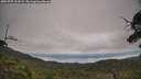 ./images/calvert/fitz-hugh-hecate/20250727/fitz-hugh-hecate20250727_113509M.jpg