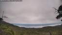 ./images/calvert/fitz-hugh-hecate/20250727/fitz-hugh-hecate20250727_115009M.jpg