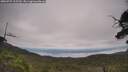./images/calvert/fitz-hugh-hecate/20250727/fitz-hugh-hecate20250727_115509M.jpg