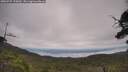 ./images/calvert/fitz-hugh-hecate/20250727/fitz-hugh-hecate20250727_120009M.jpg