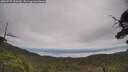 ./images/calvert/fitz-hugh-hecate/20250727/fitz-hugh-hecate20250727_120510M.jpg