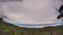 ./images/calvert/fitz-hugh-hecate/20250727/fitz-hugh-hecate20250727_121009M.jpg
