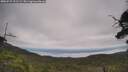 ./images/calvert/fitz-hugh-hecate/20250727/fitz-hugh-hecate20250727_121509M.jpg