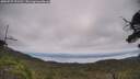 ./images/calvert/fitz-hugh-hecate/20250727/fitz-hugh-hecate20250727_122510M.jpg