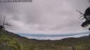 ./images/calvert/fitz-hugh-hecate/20250727/fitz-hugh-hecate20250727_123008M.jpg