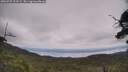./images/calvert/fitz-hugh-hecate/20250727/fitz-hugh-hecate20250727_123509M.jpg