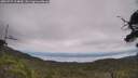 ./images/calvert/fitz-hugh-hecate/20250727/fitz-hugh-hecate20250727_124010M.jpg